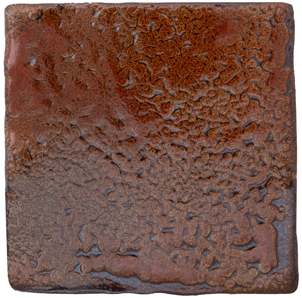 Molusco Tonos Varios 10x10